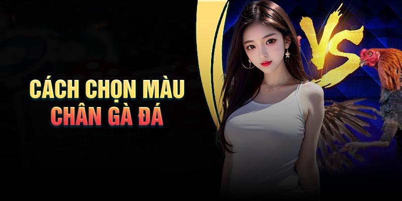 cach-chon-mau-chan-ga-da-chuan-chien-ke-thuc-thu cach-chon-mau-chan-ga-da-chuan-chien-ke-thuc-thu